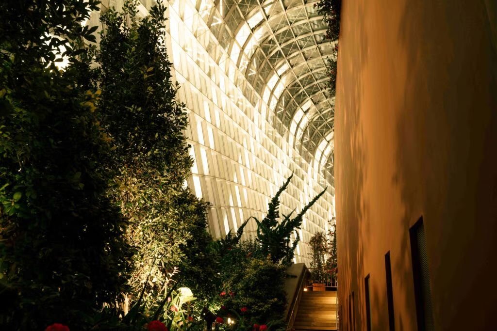 Paybis Hosted The Garden Room During TOKEN2049 as On/Off Ramp Gets 7× Faster