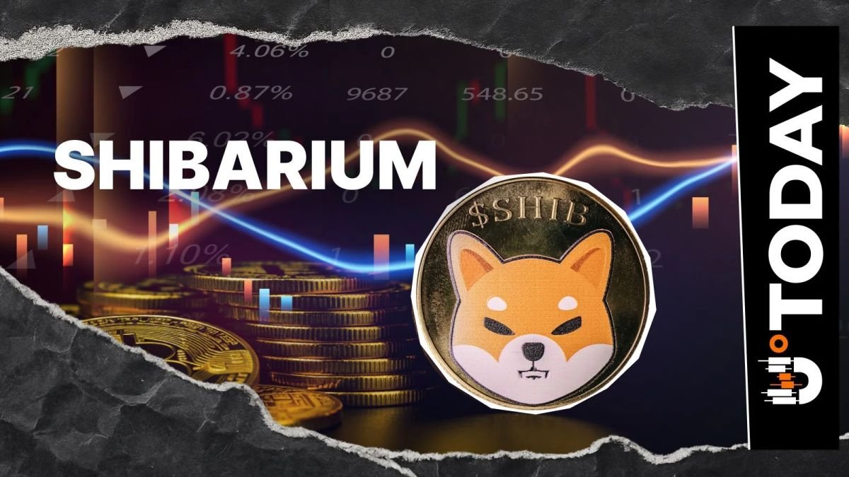 Just 659? Shiba Inu L2 Transaction Hits Monthly Low as Activity Drops