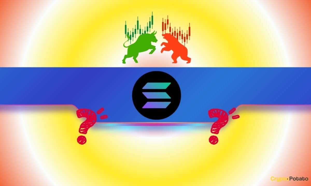 ‘Every SOL Holder Needs to See This Chart:’ Major Price Move Incoming?
