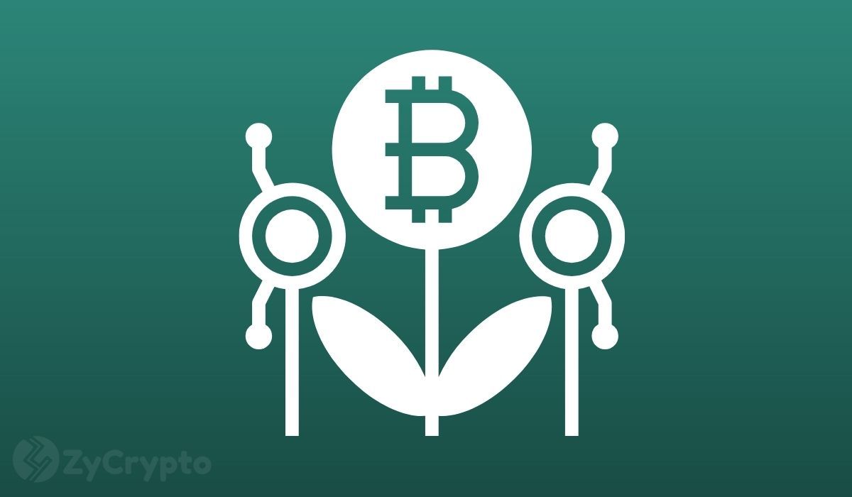 “1% of Global Capital Being Invested in Bitcoin Would See a Price of About $275,000,” Market Expert Reveals