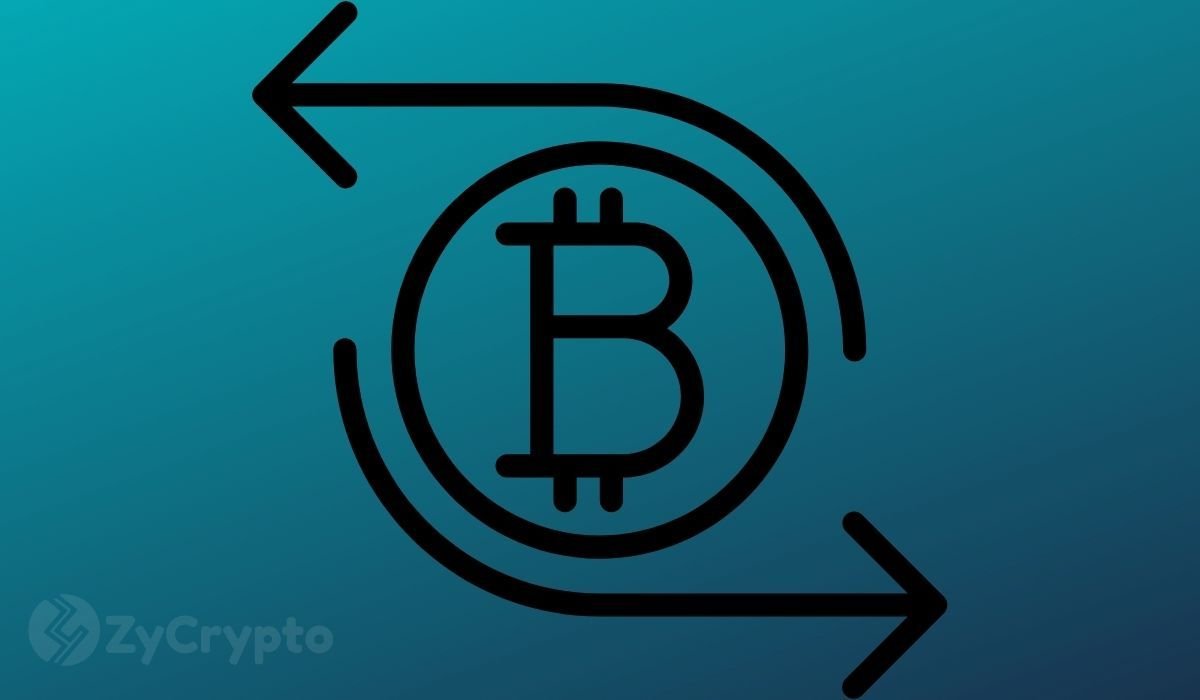Bitcoin Is Now ‘Stock-Market Puppet’, Bloomberg Strategist Warns as Whales Refuse to Back Down