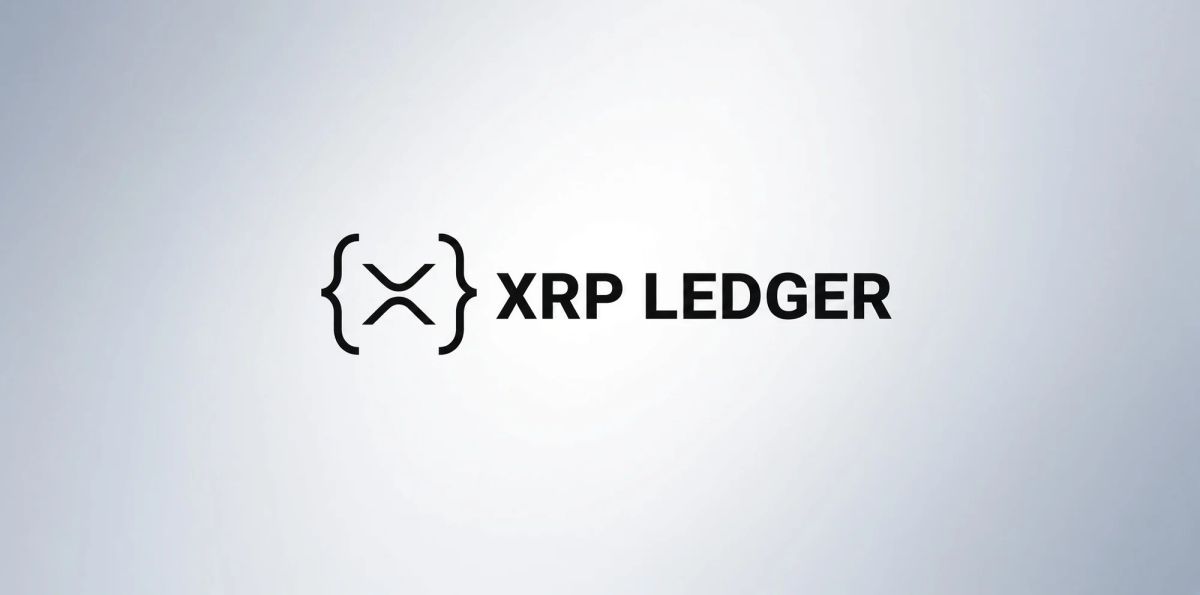 XRP Ledger Activity Jumps While XRP Price Struggles