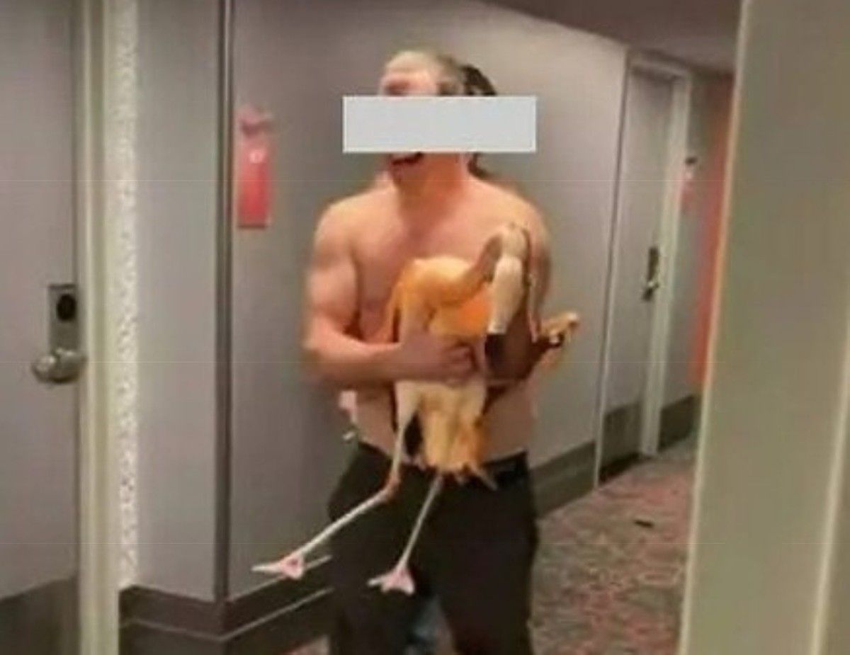 Tourist Who Snatched Flamingo from Las Vegas Resort Found Guilty of Animal Cruelty