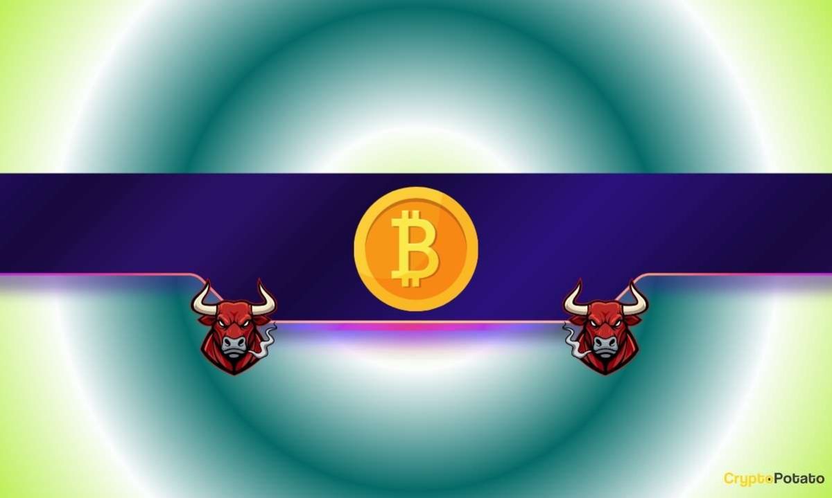 Bitcoin (BTC) Shows a ‘Major Sign of Strength:’ Price Rally Incoming?