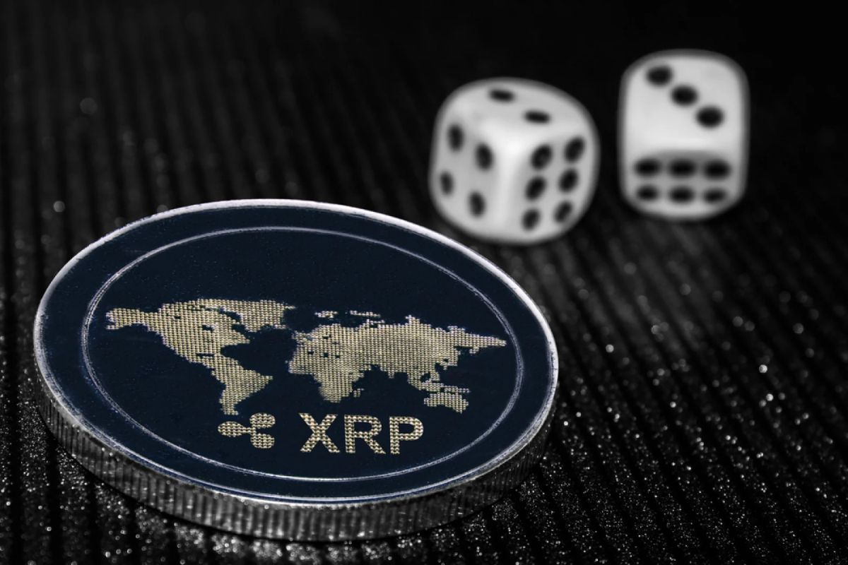 Ripple Legend David Schwartz Spotlights Physical XRP Game Most Traders Missed