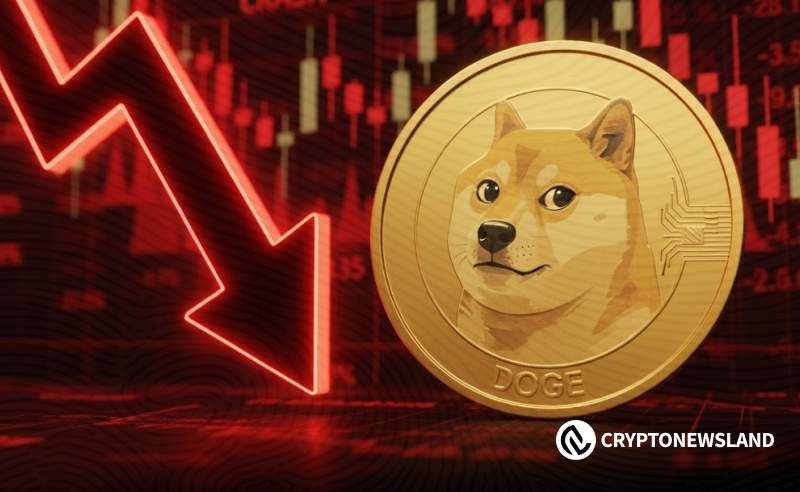 Dogecoin Tests Channel Support as Momentum Weakens