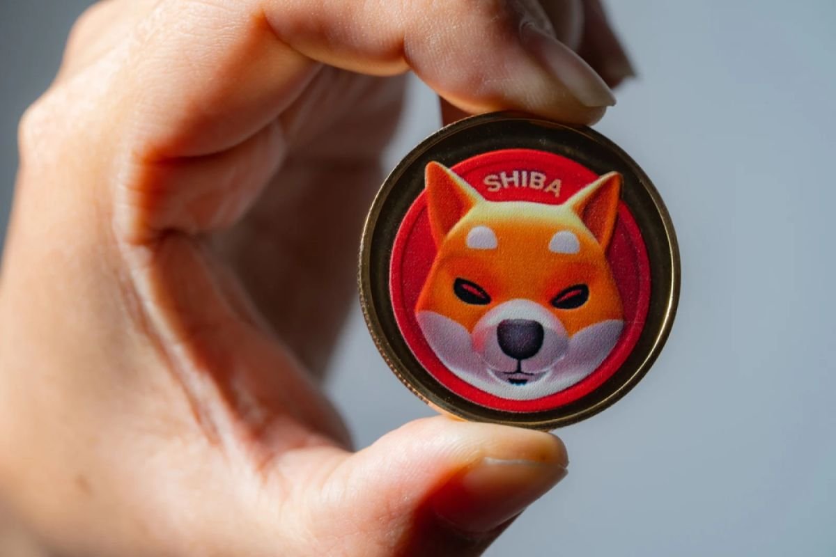 Under 1,000 Shiba Inu (SHIB) Users Actually Withdraw Tokens From Exchanges