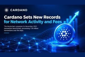 Cardano Sets New Records for Network Activity and Fees
