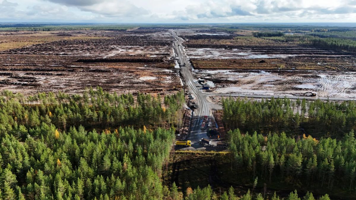 Google told to halt work on Finnish data centers after clearing an estimated 250,000 trees before environmental review was done
