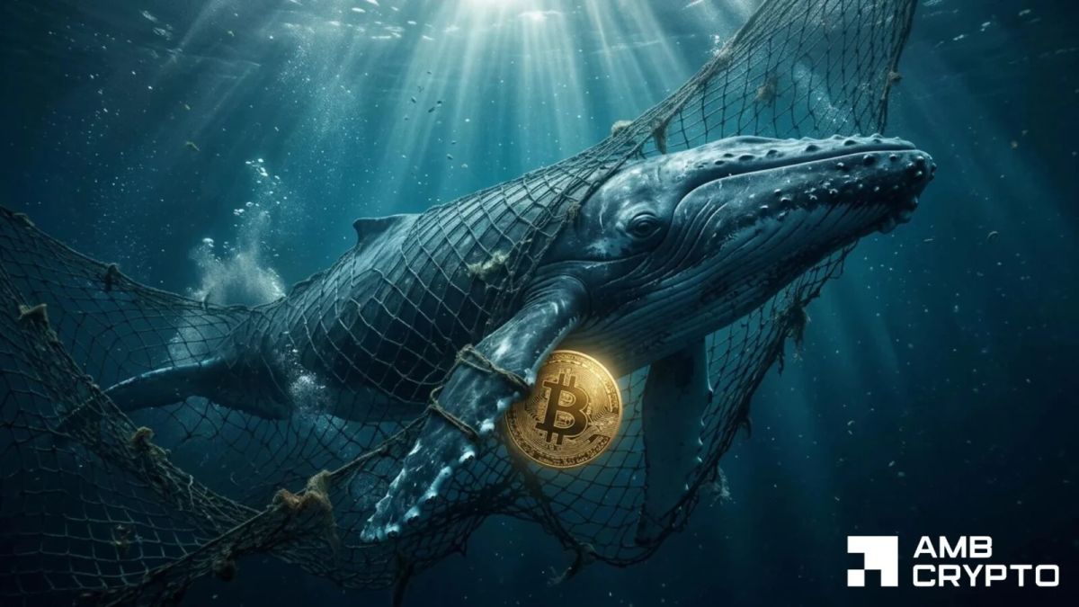 $200M Bitcoin hits exchanges in 24 hours – But a $903M whale buy absorbs the pressure