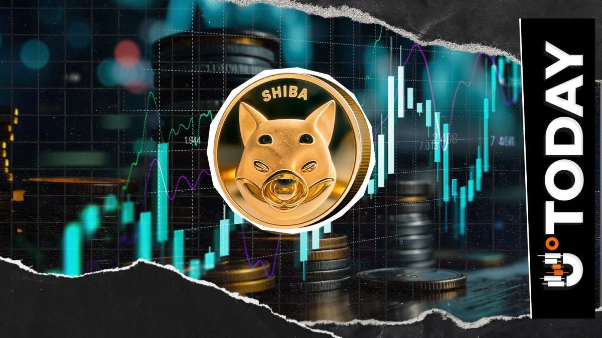 Shiba Inu Exchange Netflow Hits 77 Billion SHIB in 24 Hours