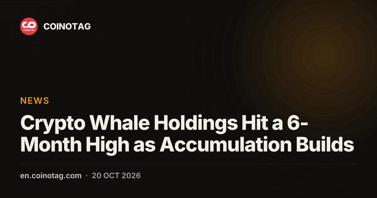 Crypto Whale Holdings Hit a 6-Month High as Accumulation Builds