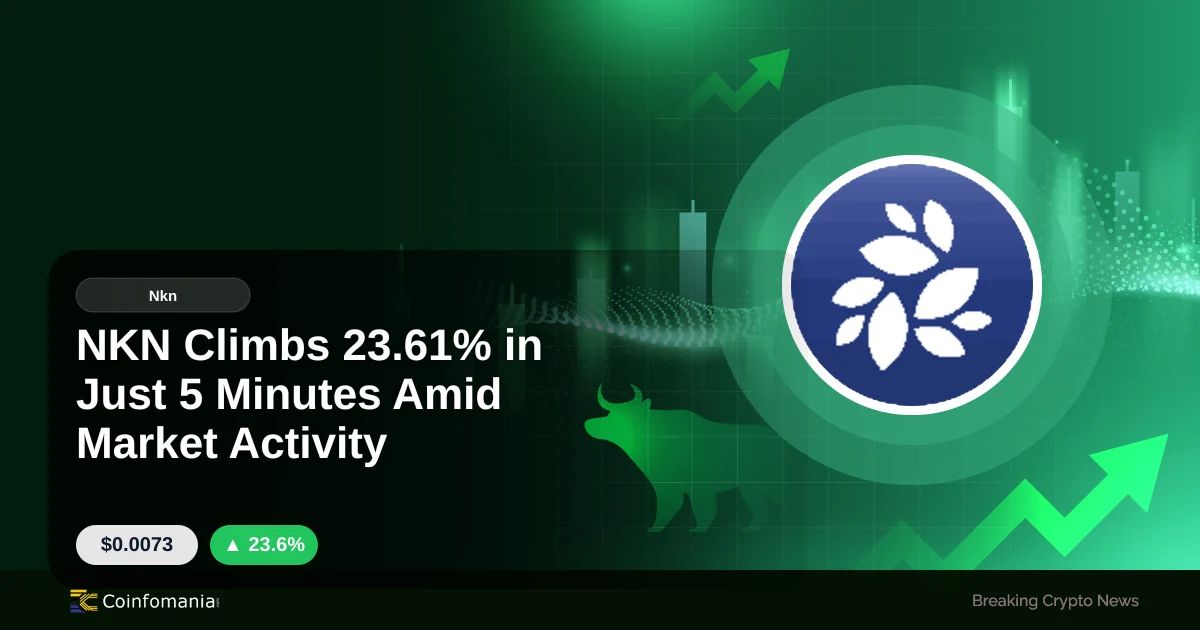 NKN Climbs 23.61% in Just 5 Minutes Amid Market Activity