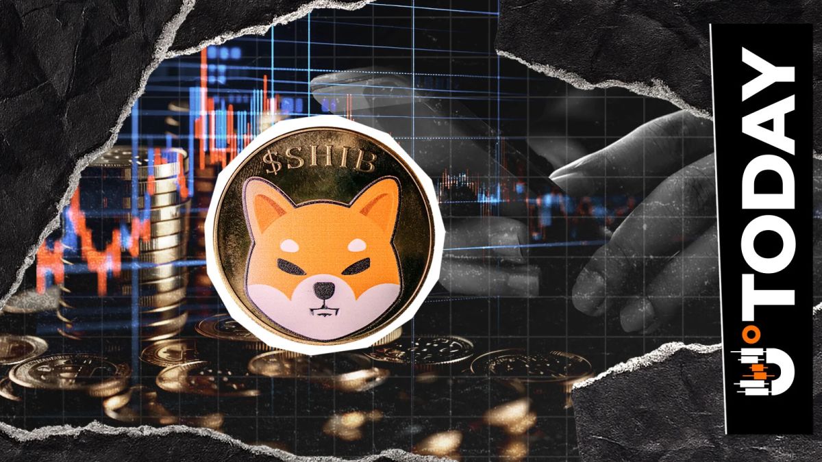 SHIB Community Buzzes as Shiba Inu Unlocks New Travel Use Case