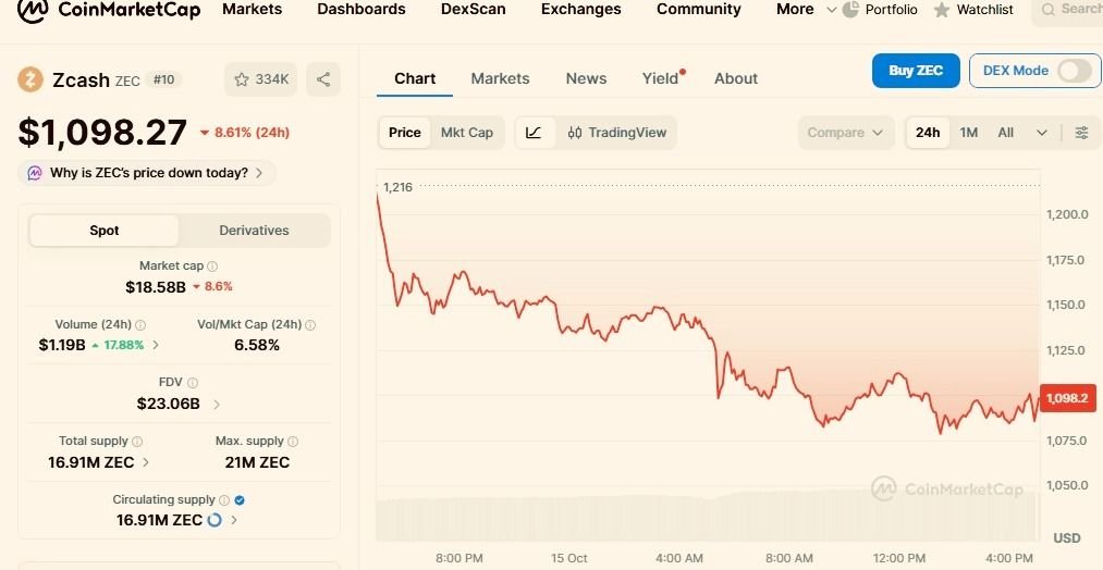 Why Zcash (ZEC) suffered among the worst 24-hour crash in top 100 cryptocurrencies