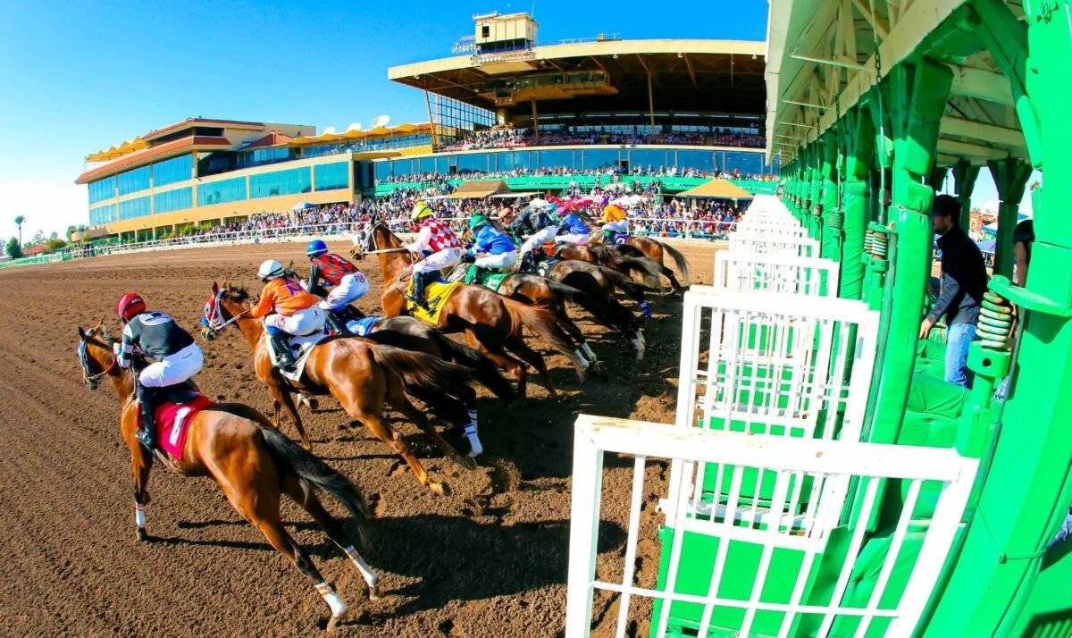 Arizona suspends Turf Paradise’s permit due to lack of staff to support pari-mutuel betting