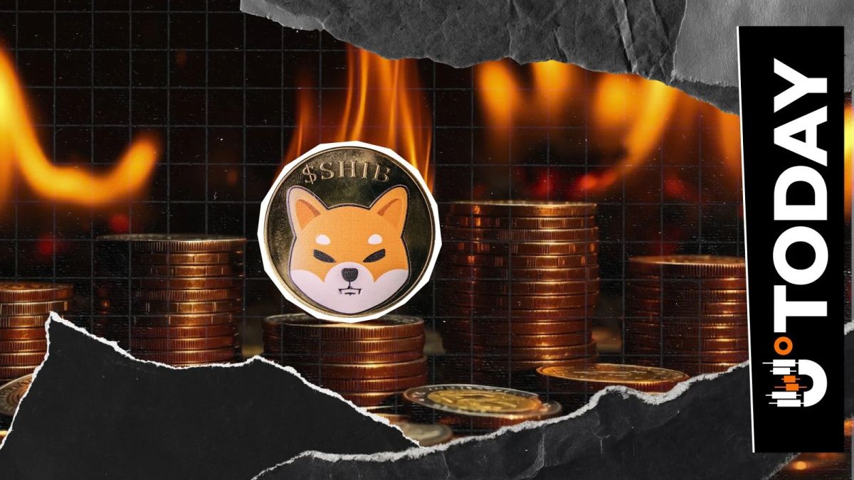 Why Is No SHIB Burning? Anomaly in Major Shiba Inu Burn Platform Explained
