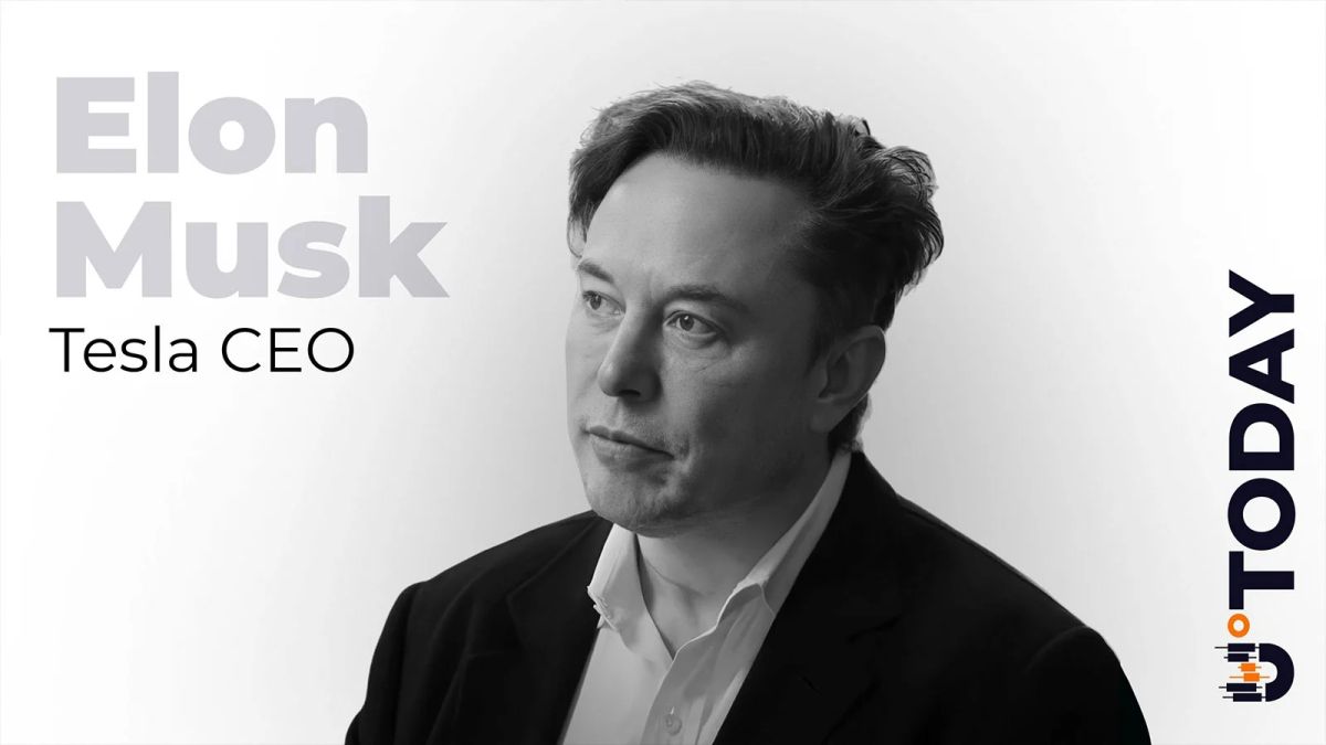 Elon Musk Predicts AI Agents Will Steal Crypto for Themselves