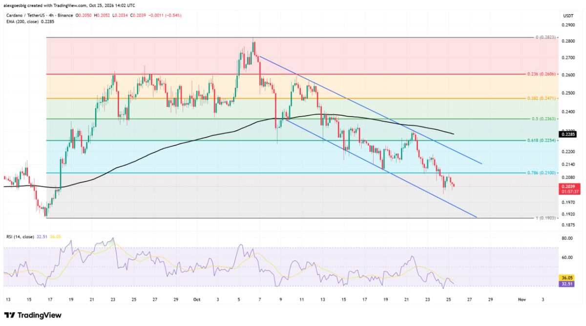 Cardano Price Drops as Treasury Proposal Suggests Investing in Copper