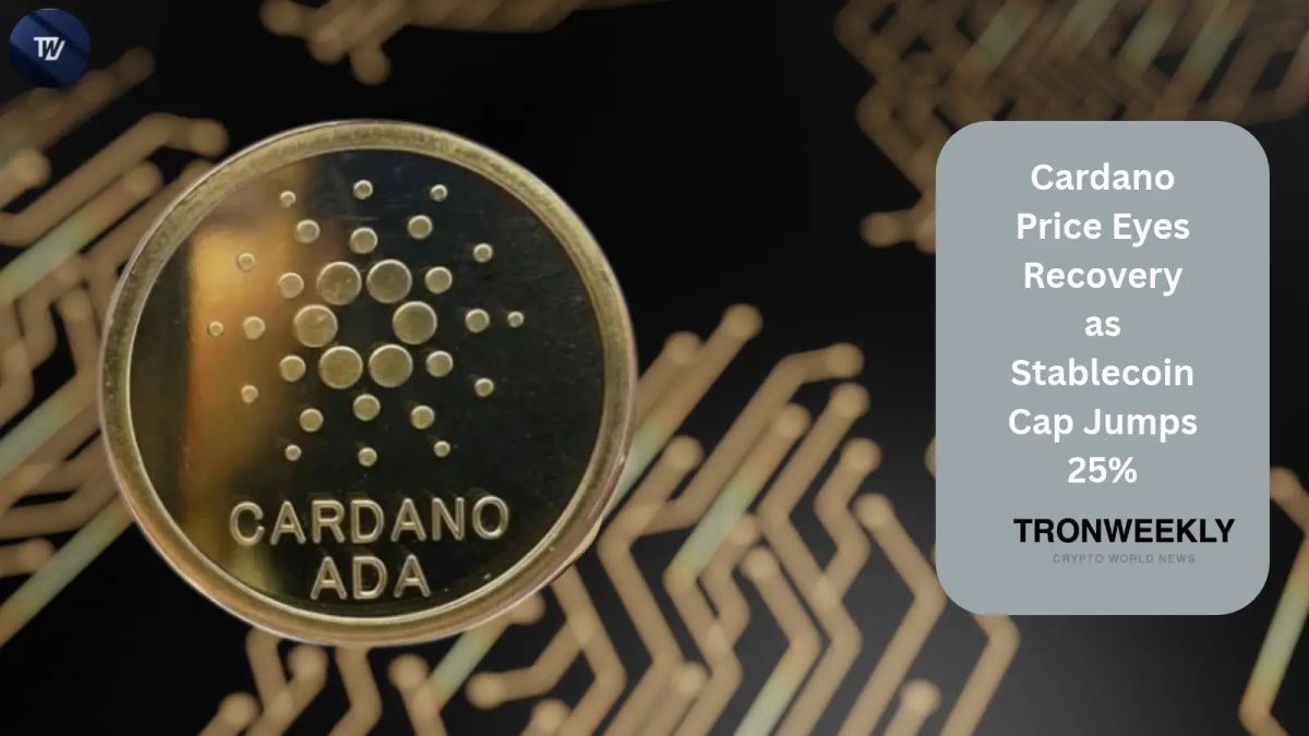 Cardano Price Watches for a Comeback as Stablecoin Market Cap Climbs 25%