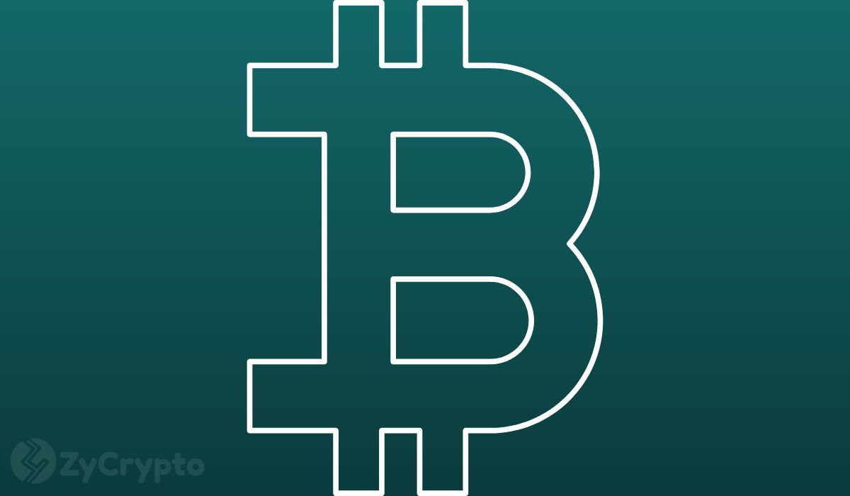 Corporate Bitcoin Holdings Hit 1.3M BTC — Almost All of the Growth Came From One Company