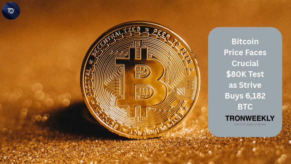 Bitcoin Price Encounters Key $80K Hurdle as Strive Acquires 6,182 BTC