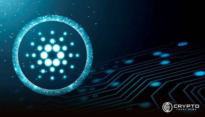 Bitcoin, XRP and Cardano Rebound as Whale Activity Surges, Says Analyst
