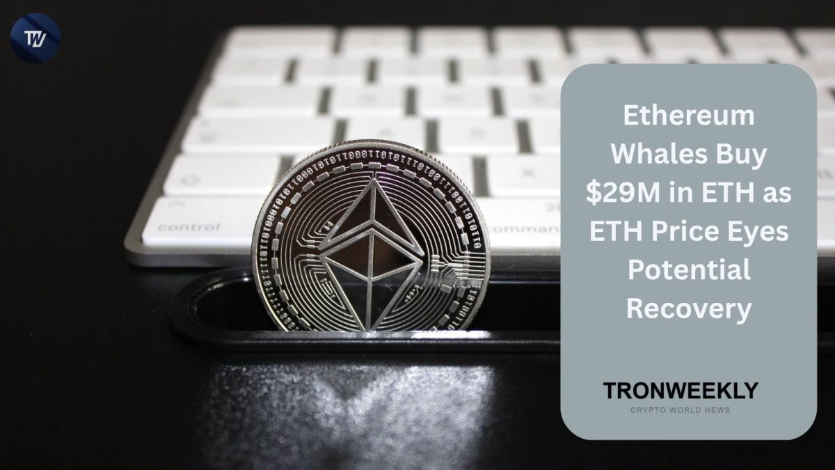 Ethereum Whales Buy $29M in ETH as ETH Price Eyes Potential Recovery