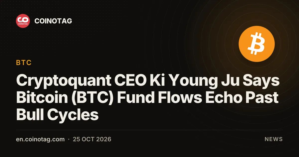 Cryptoquant CEO Ki Young Ju Says Bitcoin (BTC) Fund Flows Echo Past Bull Cycles
