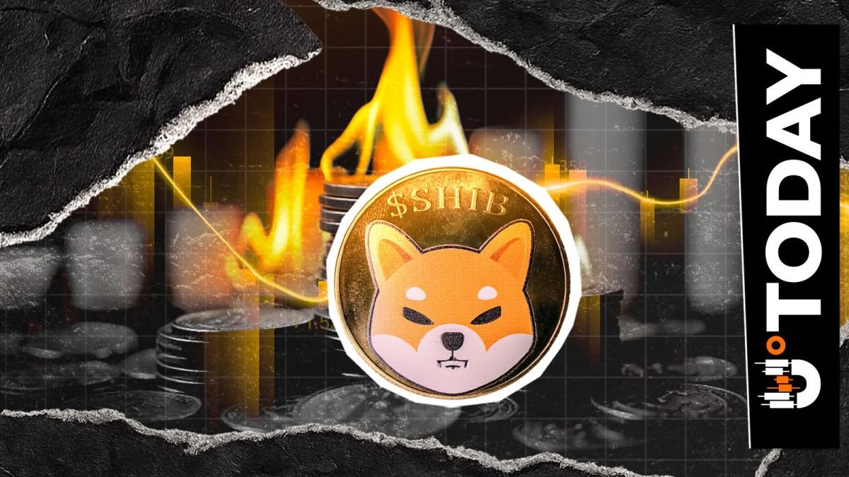 Shiba Inu Burn Rate Rockets 2,349% but Just $5 Burned: What's Happening?