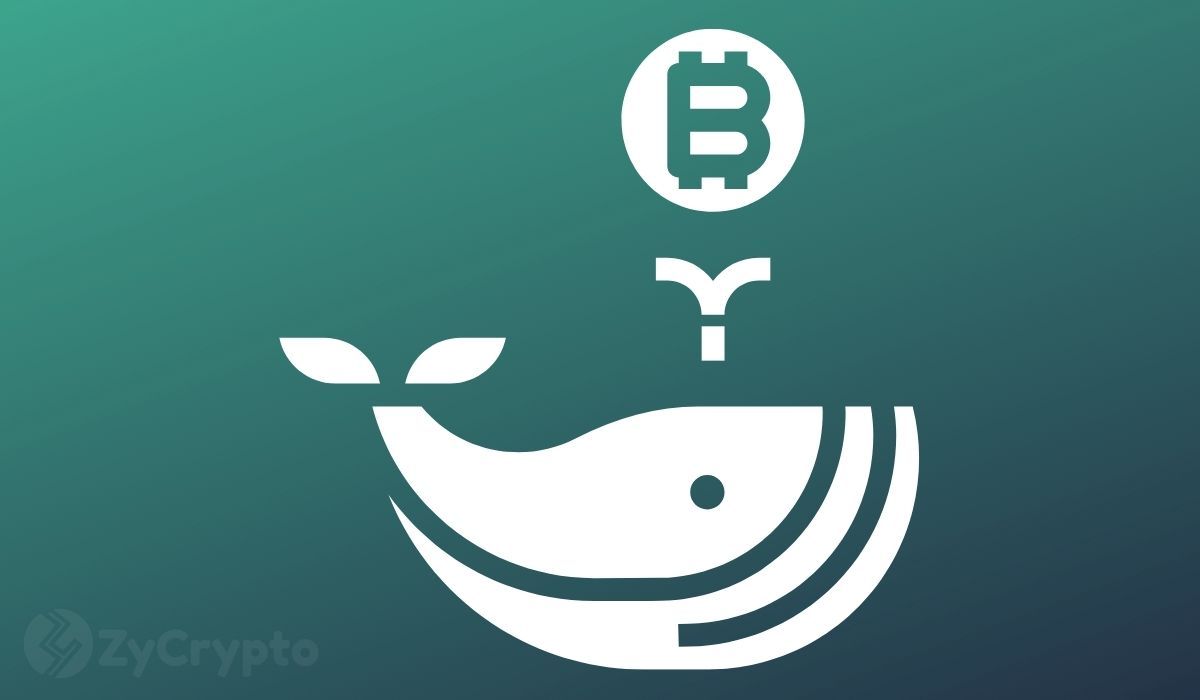 Bitcoin Nears Bottom on Whale Buying, but Coinbase Premium Signals Missing Demand