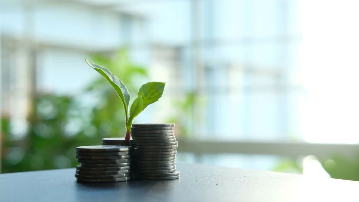 0xngmi Compares Crypto Vesting with SpaceX and Anthropic