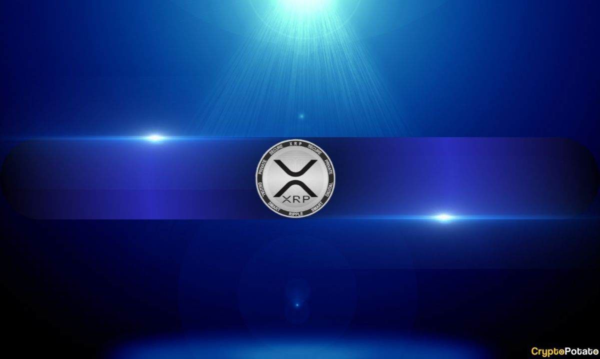XRP and DOGE Look Undervalued by MVRV Measures, but Will Traders Take Notice?