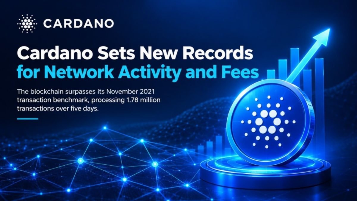 Cardano Sets New Records for Network Activity and Fees