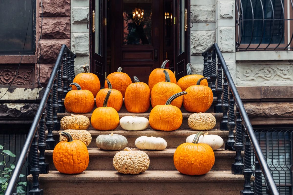 Americans are paying up to $2,000 to have pumpkins arranged on their porches—and one Texas side hustle turned it into a six-figure franchise