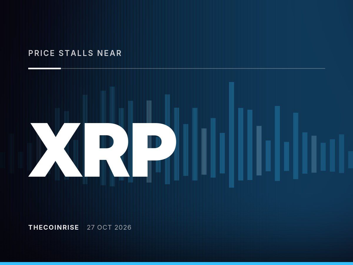 XRP Price Stalls Near $1.30 as Reports Diverge on Whale Wallet Activity