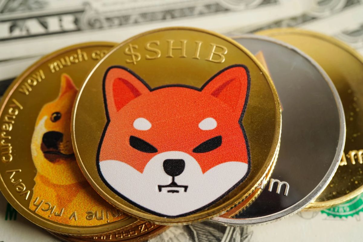 92 Billion Shiba Inu (SHIB) in 24 Hours: Reasons Behind the Drop Are Clear Now