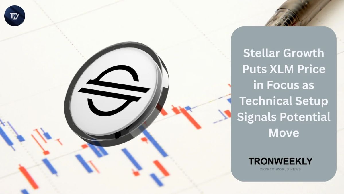 Stellar Growth Puts XLM Price in Focus as Technical Setup Signals Potential Move