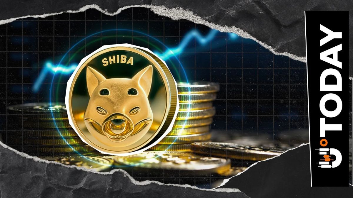 78 Billion Shiba Inu Netflow Triggers Brief Price Recovery