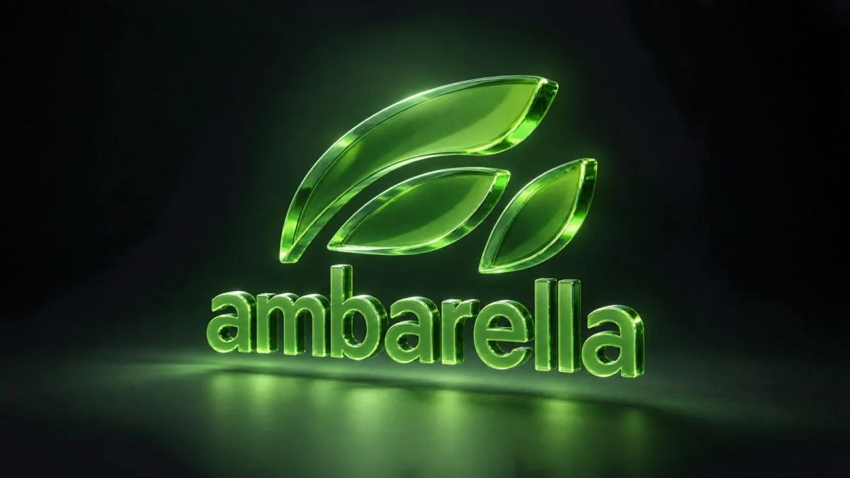Ambarella Shares Rise Amid Nvidia Bid Speculation