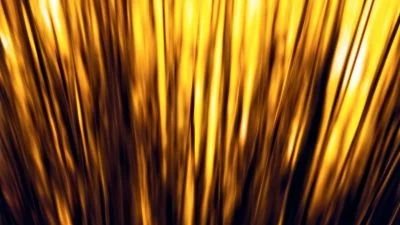 Multicoin Capital skips the AI gold rush and doubles down on crypto