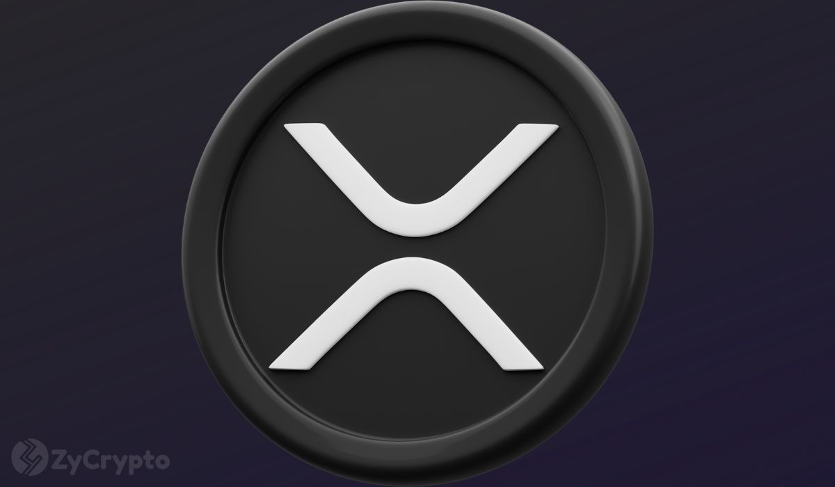 XRP Whale Outflows Hit 5-Year Low; Here’s What’s Happening