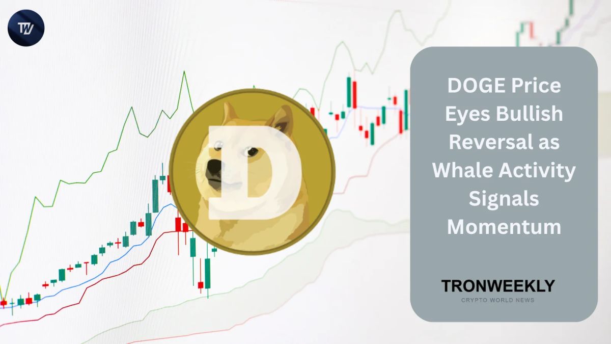 DOGE Price Eyes Bullish Reversal as Whale Activity Signals Momentum