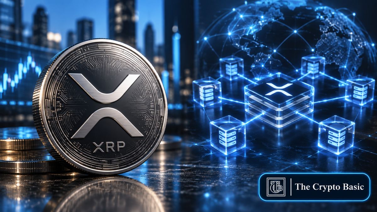 Daily XRP Transactions Spike 1,717% to New 6-Month Peak