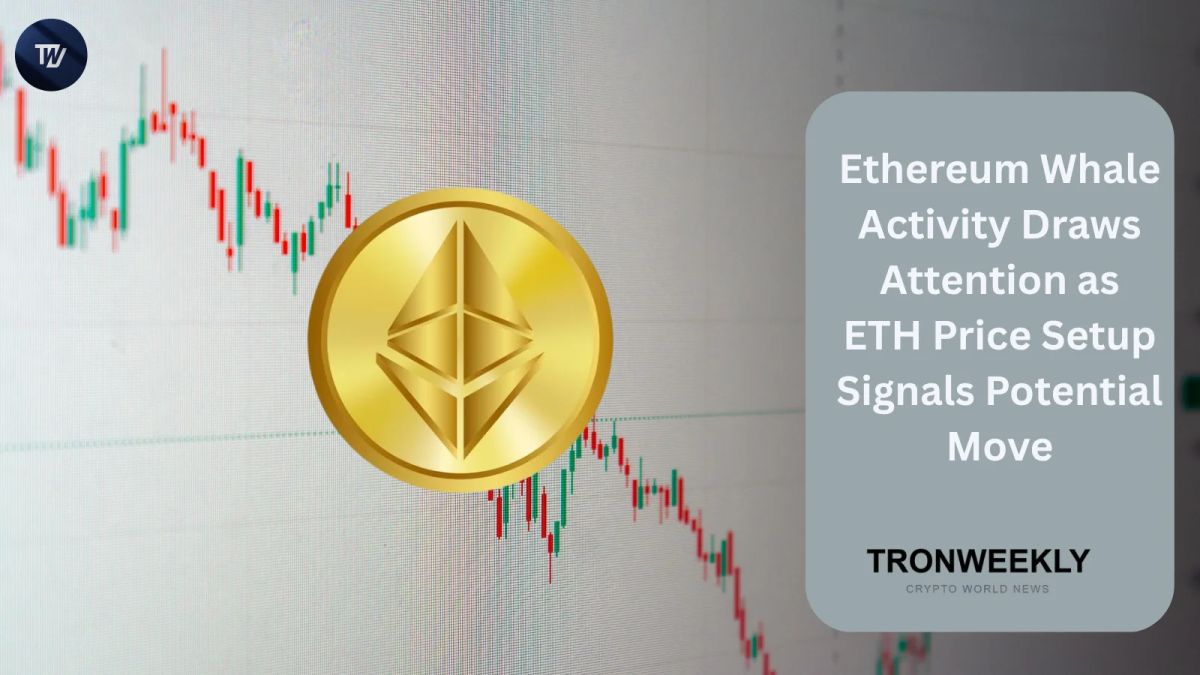 Ethereum Whale Activity Draws Attention as ETH Price Setup Signals Potential Move