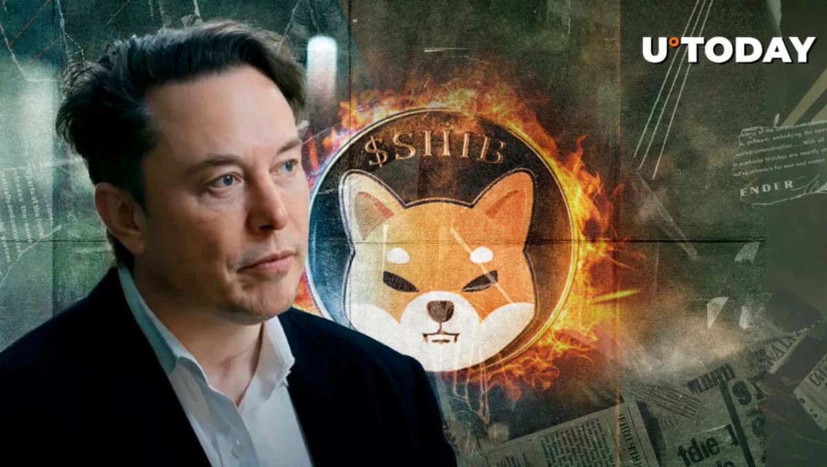 Shiba Inu Community Seeks Elon Musk's Attention Amid Wrong BONE Token on X