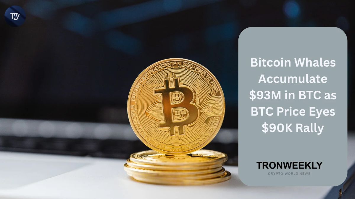 Bitcoin Whales Accumulate $93M in BTC as BTC Price Eyes $90K Rally