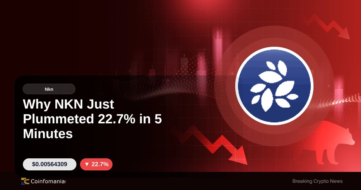 Why NKN Just Plummeted 22.7% in 5 Minutes