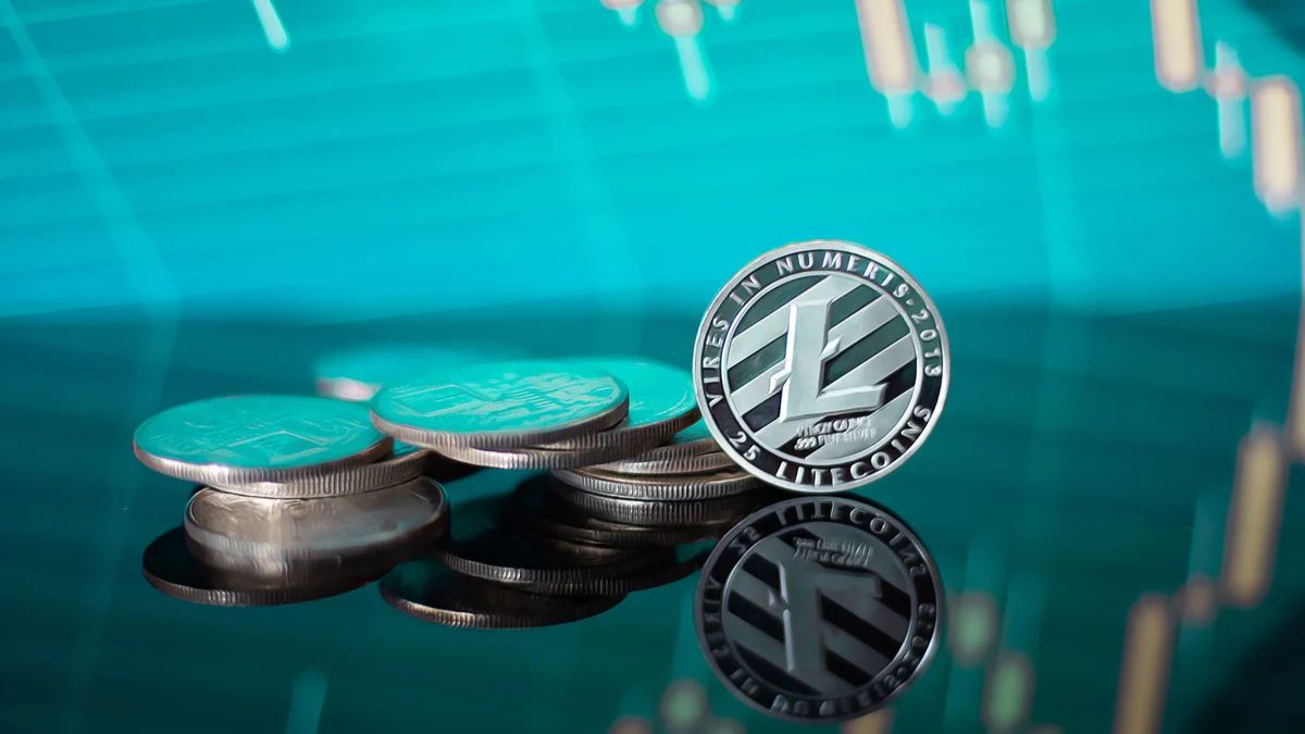 Litecoin price drops 40% year on year, trades at $55 in CoinGecko snapshot