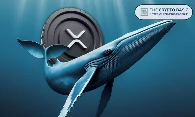 XRP Whale Outflows Drop to Their Lowest Levels Since 2021: Potential Impact on Price